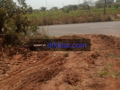 100 plots of Land