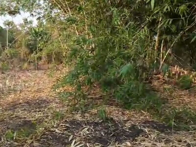 500 plots of land situated at Ojoto. Good: For Estate and Agriculture