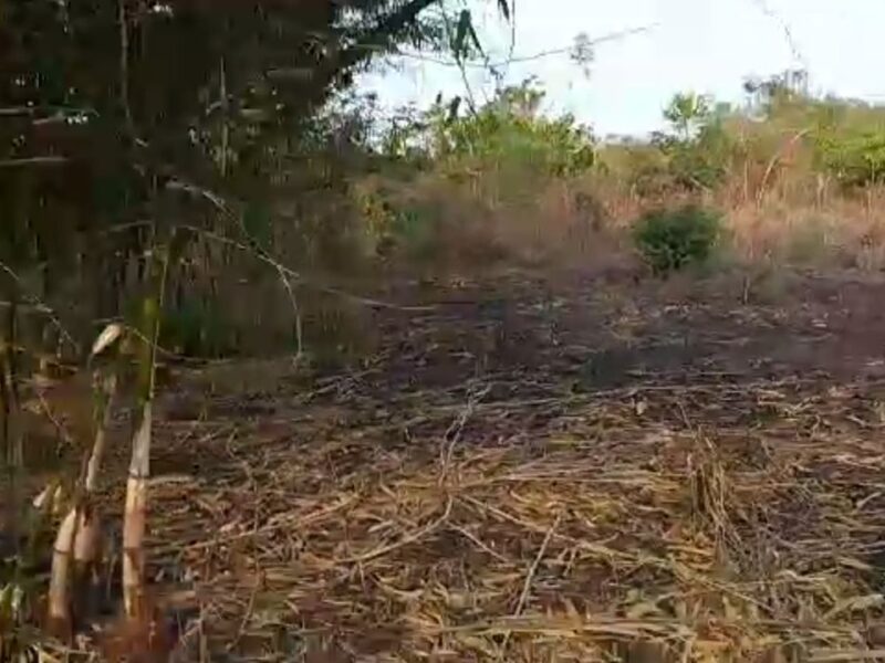 500 plots of land situated at Ojoto. Good: For Estate and Agriculture