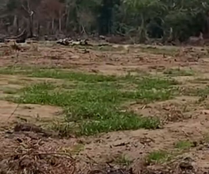 3000 Plots of Land at Mgbakwu Awka