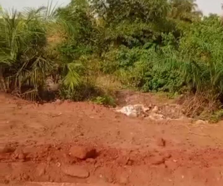 More than 20 Plots of Land at Umunya by Enugu express way