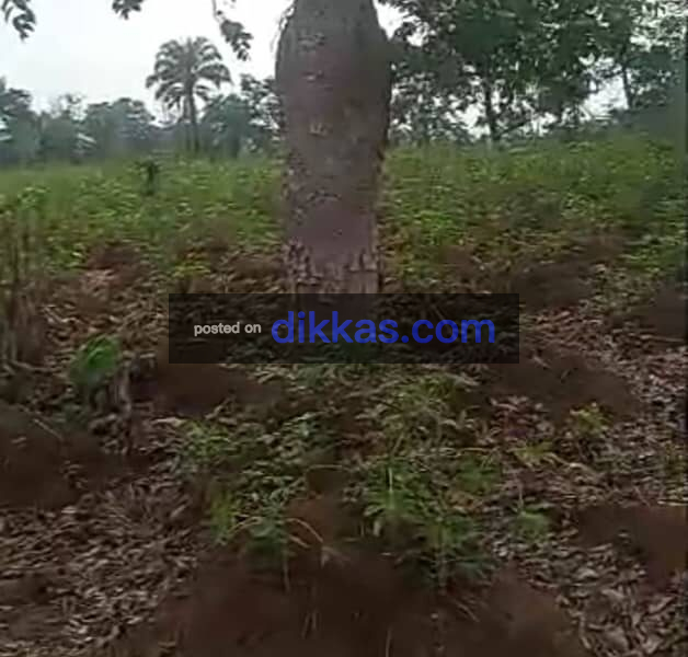 2 plots of land for sale in Isiagu Awka